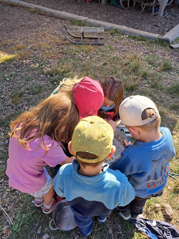 Waldkindergarten Vereinsangebote für Kinder 3-6